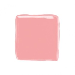 PAINTING PINK 6956